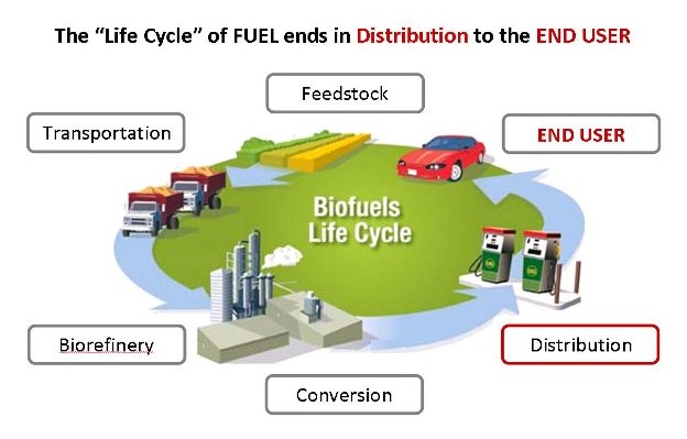 Kementan Dukung DEN, Siapkan Bibit Tanaman Bahan Baku Biofuel